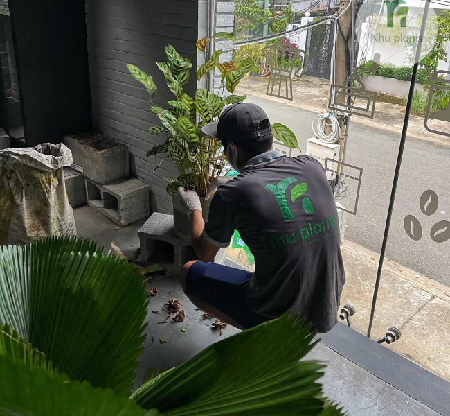 470138487_1344748640213577_1311694703366626792_n