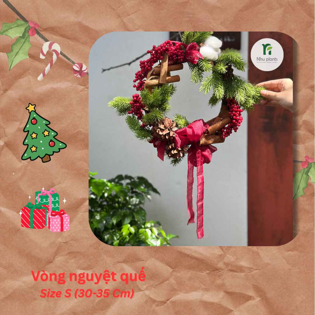 Vòng Nguyệt Quế Size S (30–35cm) – NHU Plants