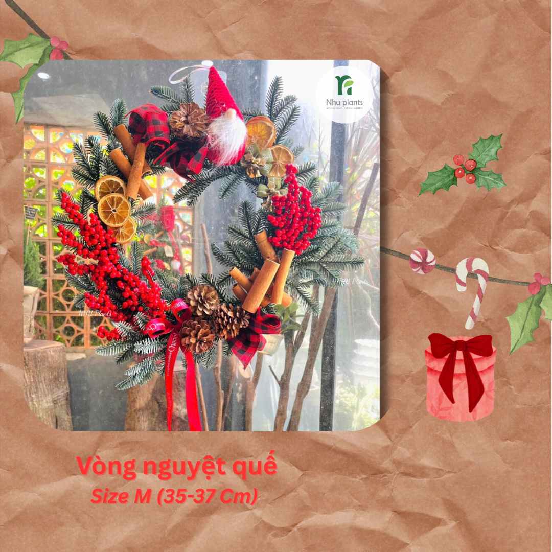 Vòng Nguyệt Quế Size M (35–37cm) – NHU Plants