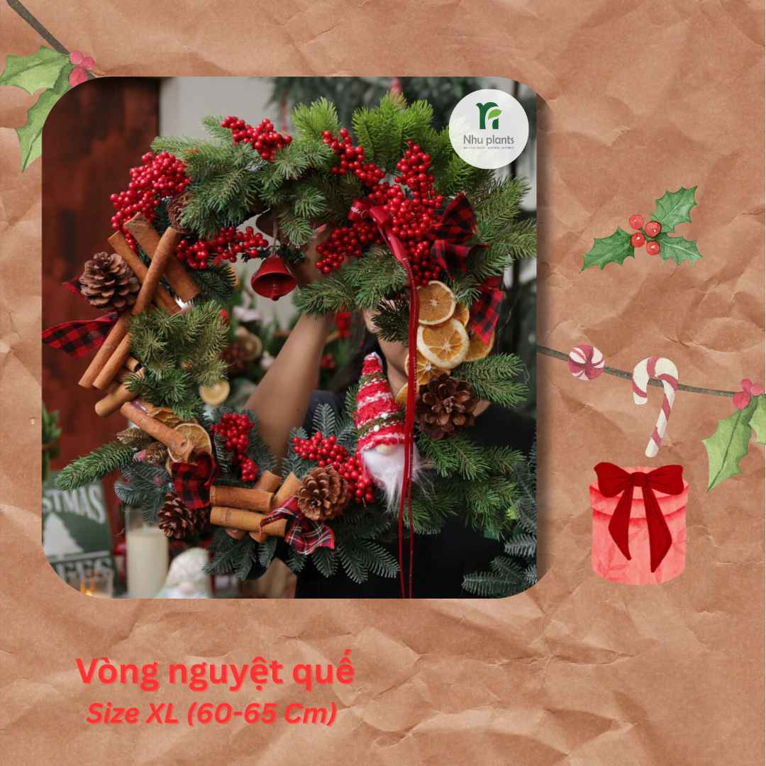 Vòng Nguyệt Quế Size XL (60–65cm) – NHU Plants
