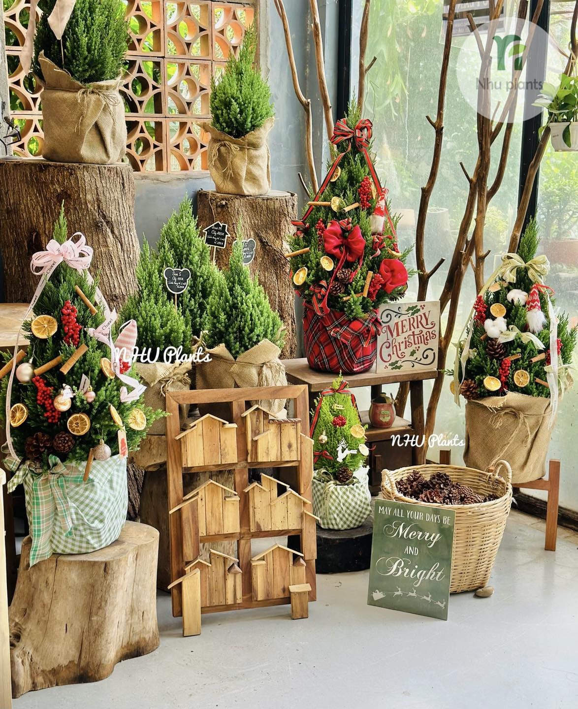 Sơn Tùng trang trí Noel chất lượng Sơn Tùng trang trí Noel chất lượng