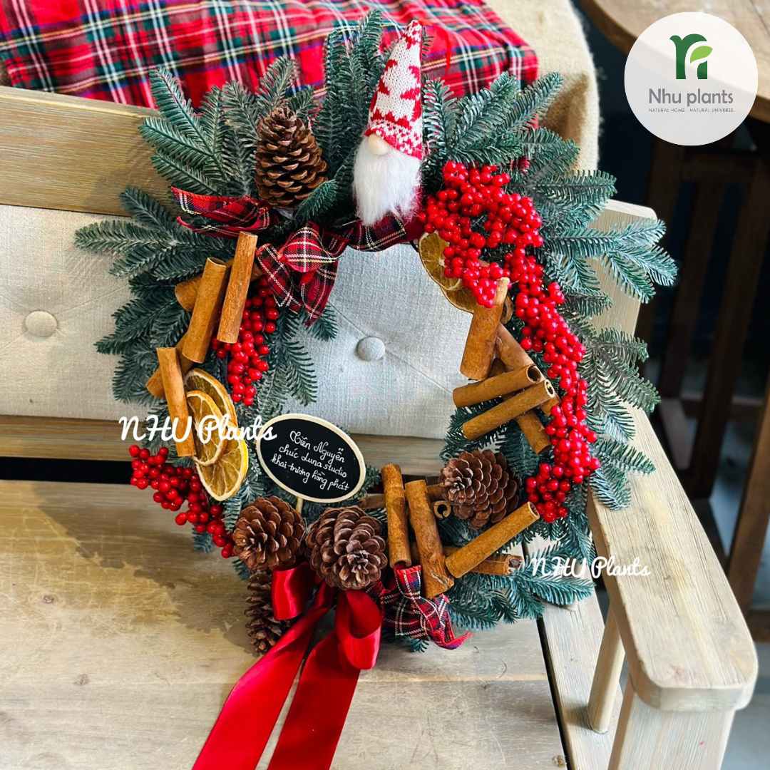 Vòng Nguyệt Quế Size M (35–37cm) – NHU Plants - Hình ảnh 4